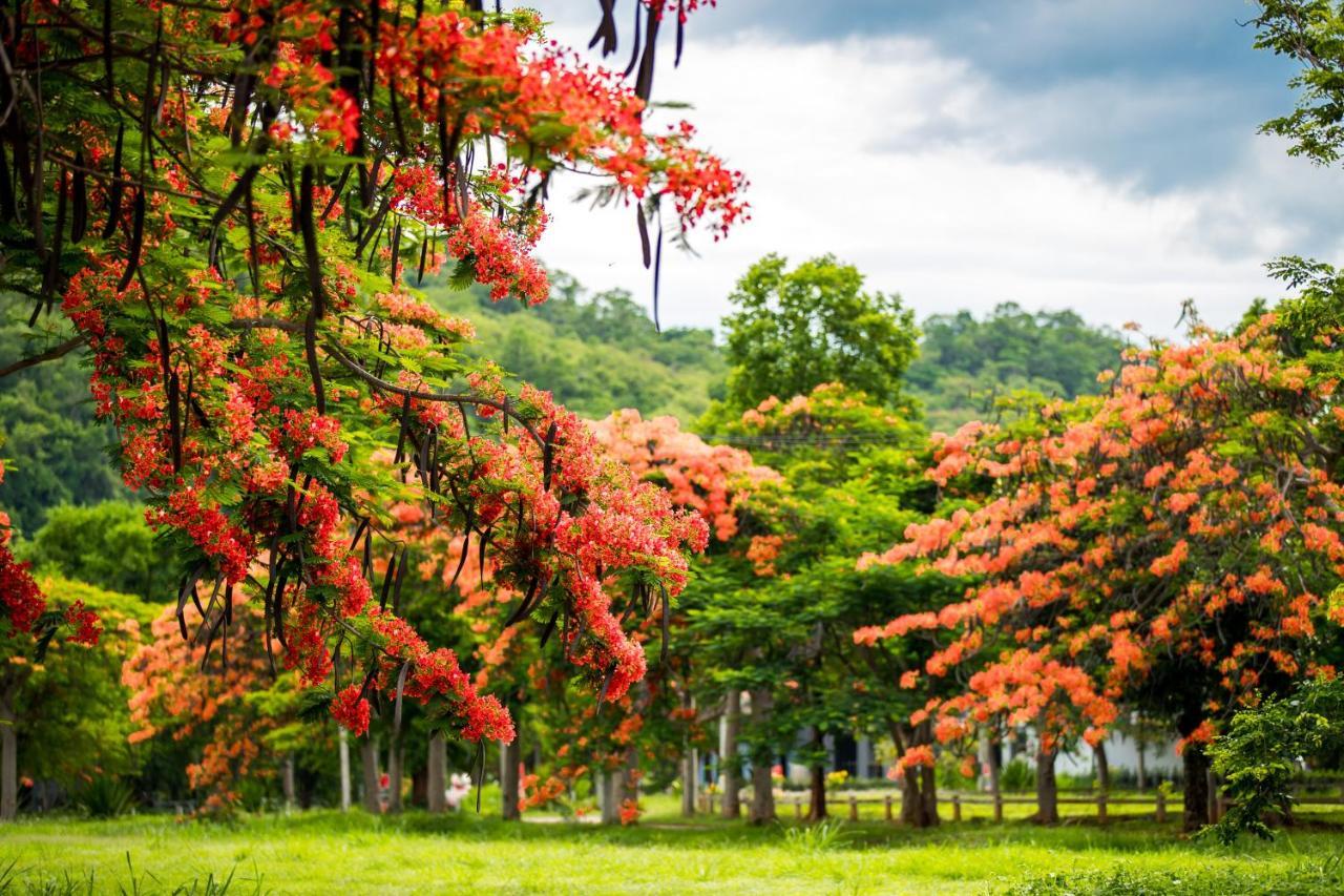 Diamond Hill Resort Nong Nam Daeng Exterior photo